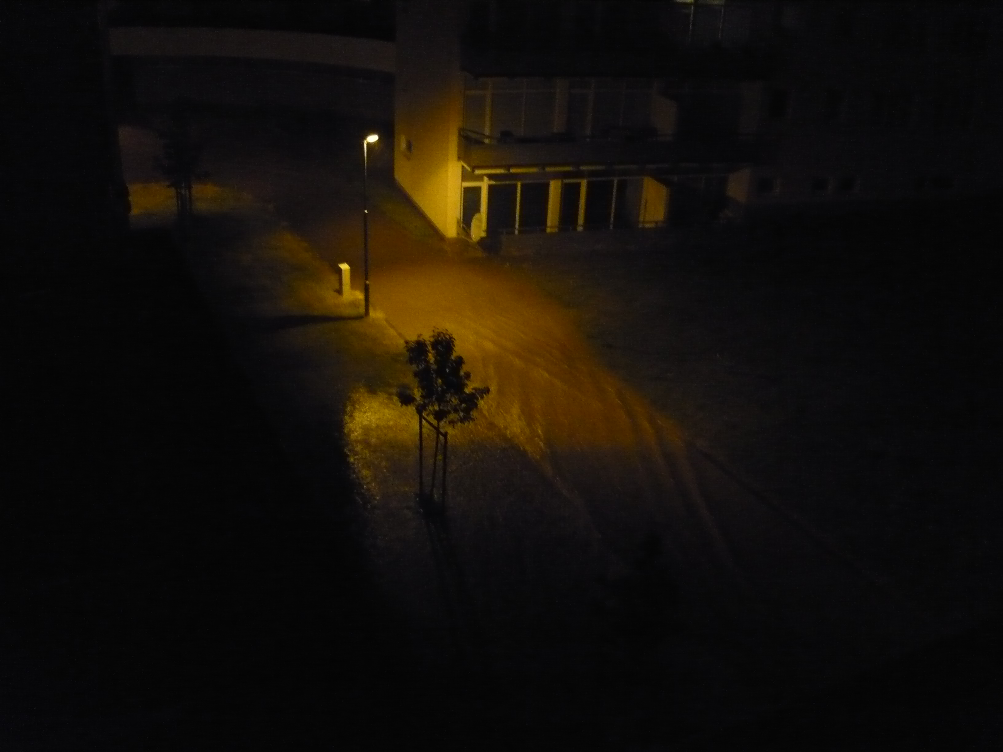 P1040888